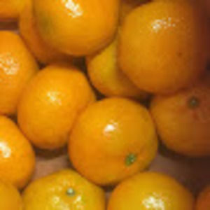 Meet your Posher, Preeti